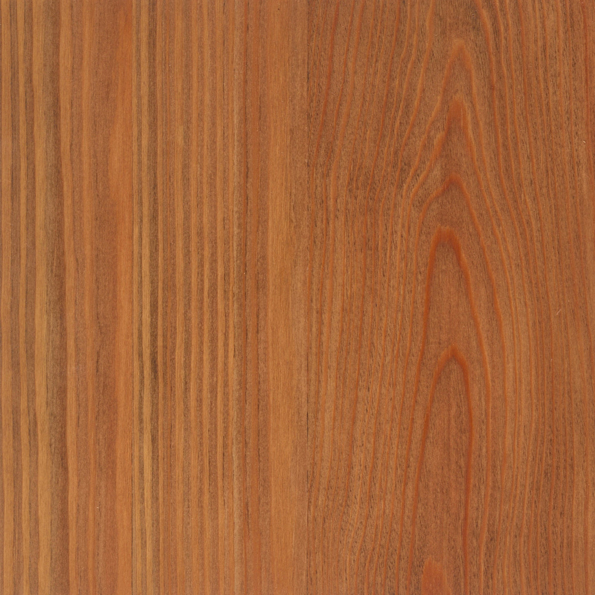 Larch