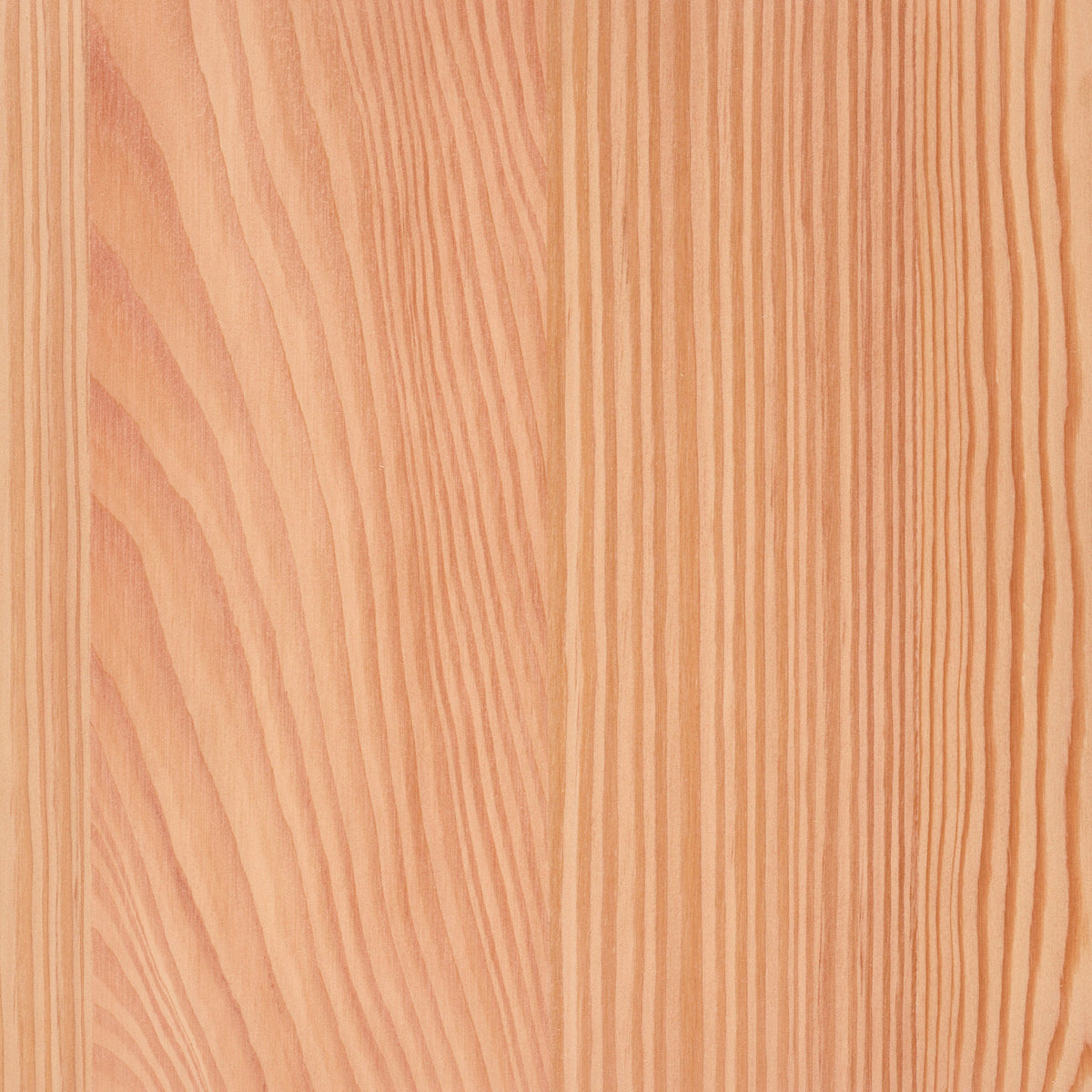 Larch