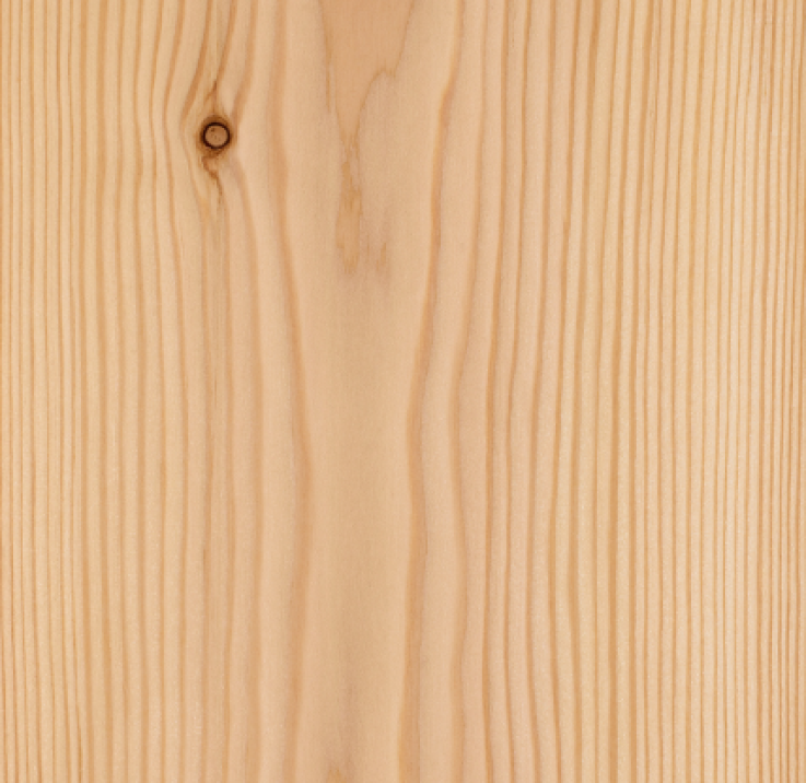 Behandling og beskyttelse av lerketre Behandling og beskyttelse av lerketre